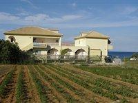 Drosia Beach Kypseli Luaran gambar